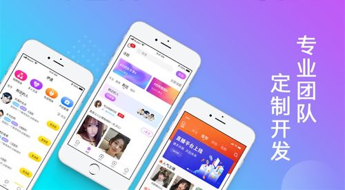 北京中聯(lián)科技系統(tǒng)軟件APP小程序網(wǎng)站定制建設(shè)設(shè)計(jì)開(kāi)發(fā)公司